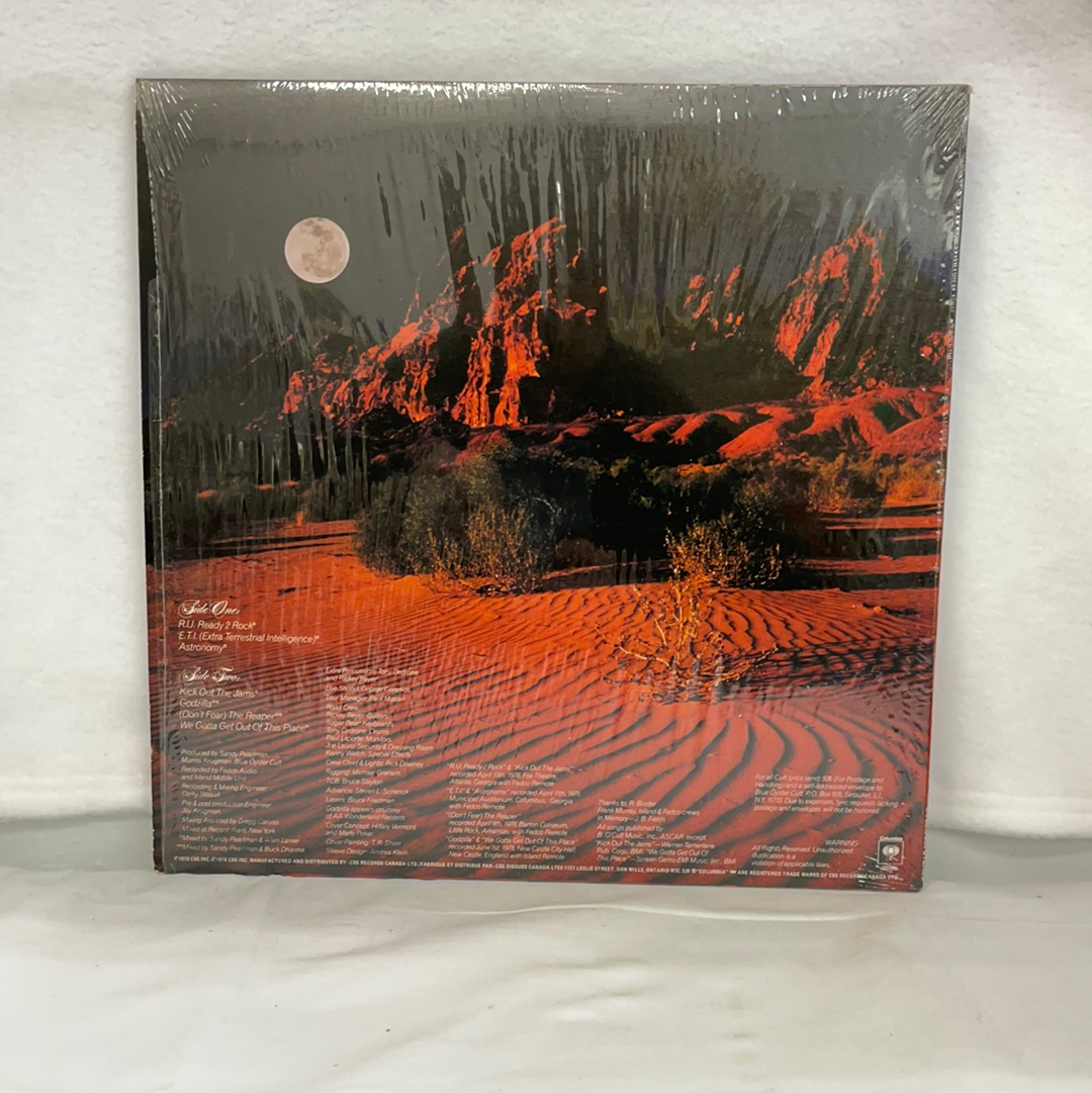 Blue Öyster Cult -Some Enchanted Evening - Record